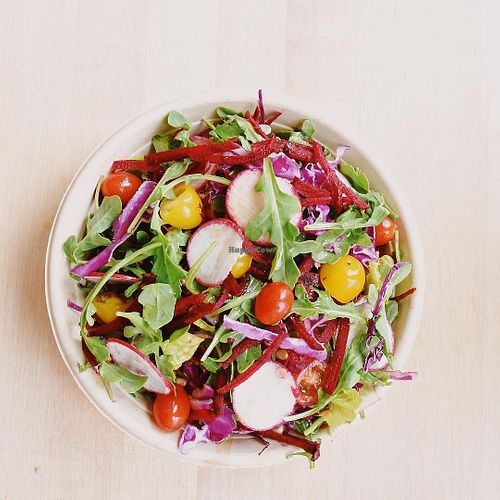 health at Greenbeat in Orlando