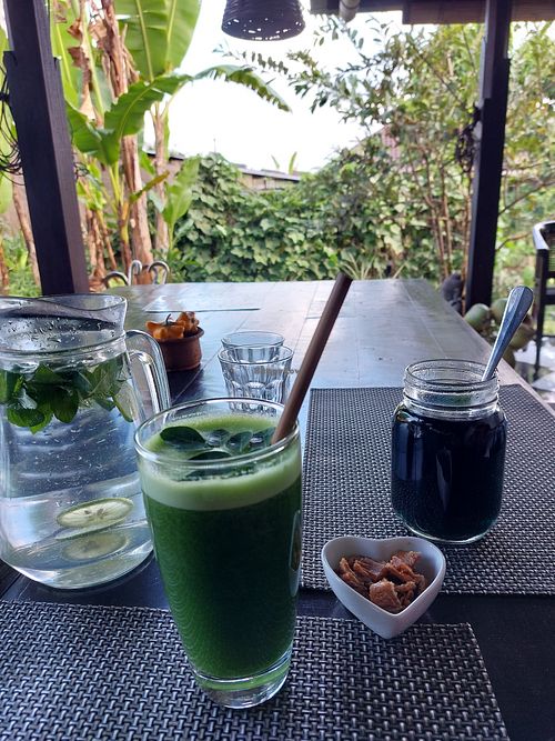 Moringa and butterfly pea tea picked fresh from the garden at The Organic Farm Bali in Tabanan