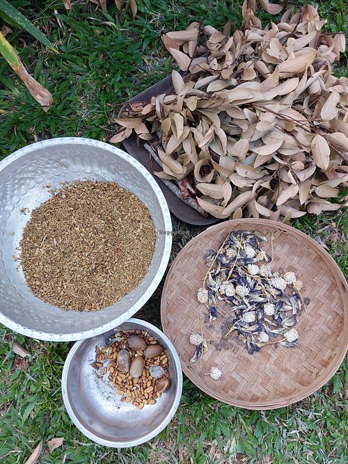 Farm at The Organic Farm Bali in Tabanan