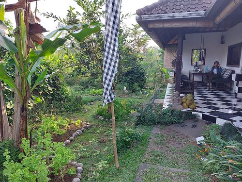 Garden and restaurant at The Organic Farm Bali in Tabanan