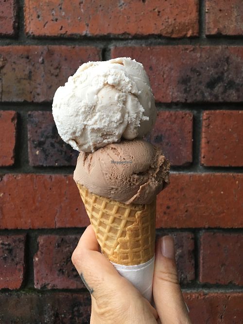 Chestnut and chocolate hazelnut at Gelato 101 Vegan Artisan in Northbridge