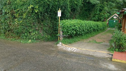 Passage to state border and her sister vegan except honey restaurant. at Prana Gourmet in Itatiaia