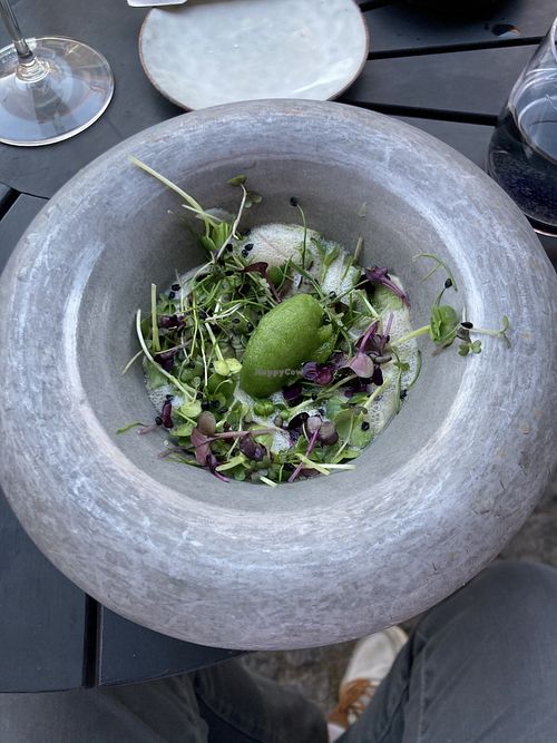 Green leaves at VeVe in Copenhagen