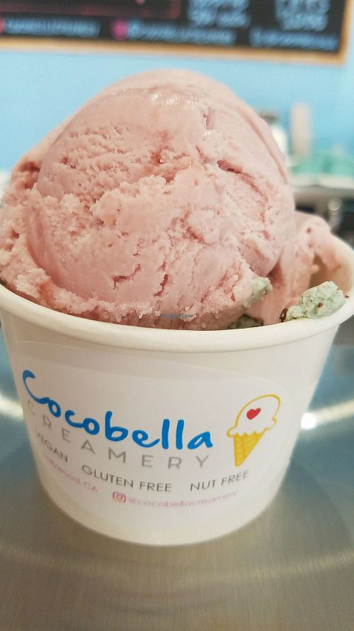 Mint chip and strawberry in a cup at Dear Bella Creamery in Hollywood