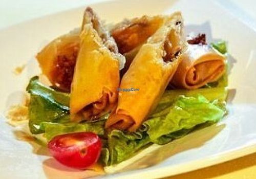 Spring rolls at Loving Hut 愛家 - KITEC in Kowloon