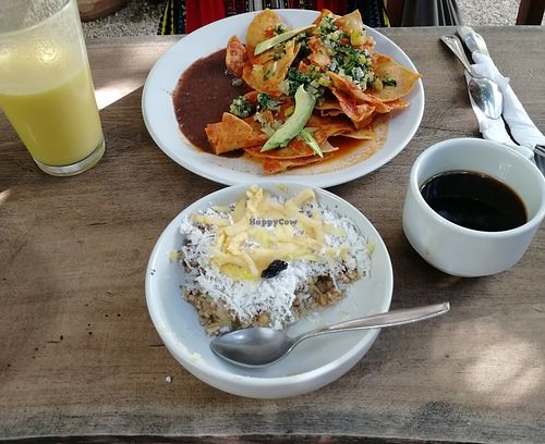 Paradise oatmeal, smoothie, and coffee (sadly can't remember what the thing in the back was called)
All vegan breakfast!!!  at El Manatí in Bacalar