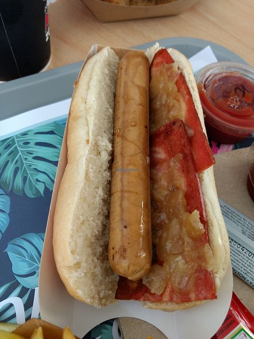 dog at Khambú Quart in Valencia