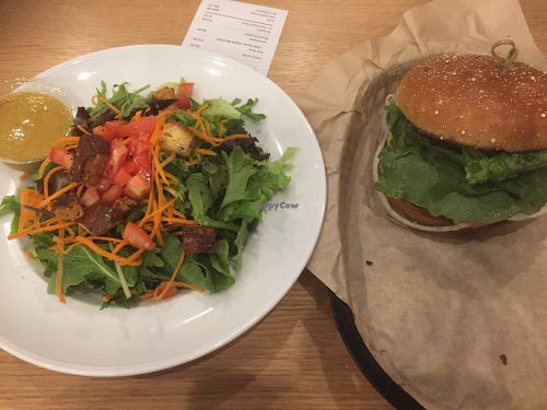 solo burger with side salad at J Selby's in St Paul