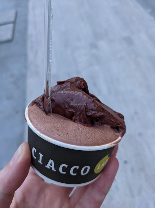 Gelato vegan at Ciacco Gelato Senz'altro in Parma