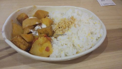 Vegetable Curry Rice at Gan Nan Vegetable Dumpling in Fuzhou