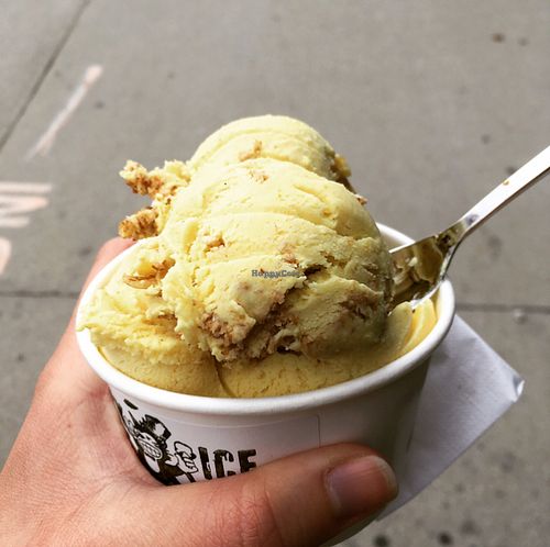 Spicy Vegan Coconut Curry w/ Granola at Black Cat Ice Cream in Des Moines