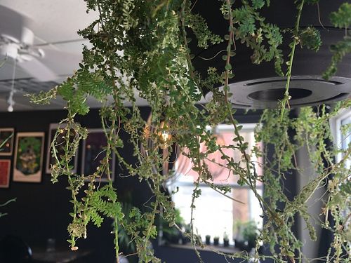 Onion Maiden, Pittsburgh PA

Photo By ecoRDN 

ecoRDN.com  at Onion Maiden in Pittsburgh