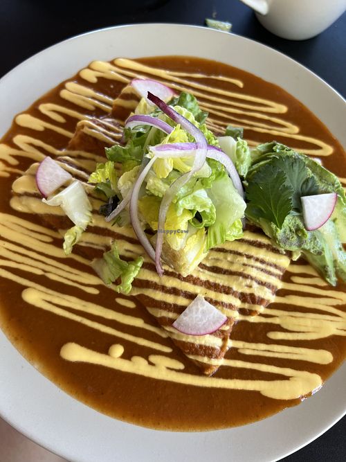 Enchiladas with tofu inside. A little spicy but great flavor  at Chula in San Jose Del Cabo
