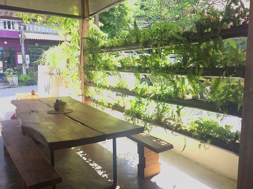 Wild Tribe at Wild Tribe Cafe in Koh Samui