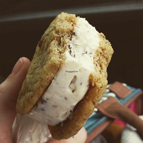 Vegan little jim ice cream sandwich: chocolate chip with goji berry and nuts at The Daily Beet - Girod St in New Orleans