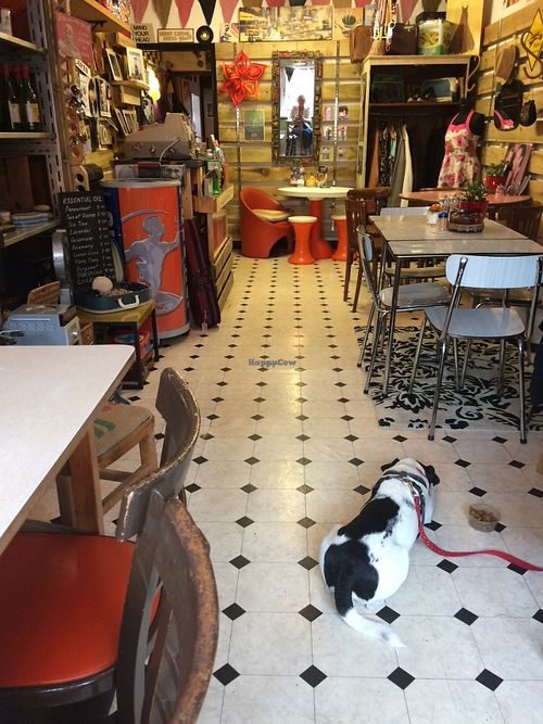 Dog friendly cafe at Soul Food Cafe in Congleton
