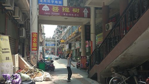 Look for this sign and then go up the stairs at PuTiShu Banyan Tree in Zhangzhou