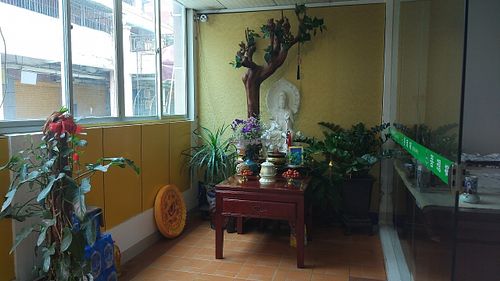 Tranquil seating area at PuTiShu Banyan Tree in Zhangzhou