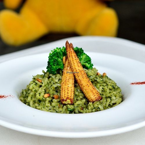 risotto at Veggie Wonderland in Taichung