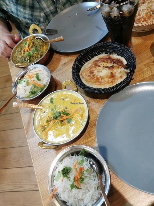 Curry at The South Indian - Indian Aroma in Copenhagen