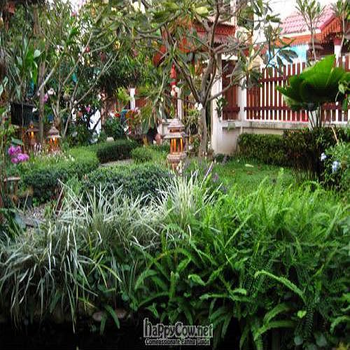 The restaurant courtyard. You feel like you're in the jungle, or almost. at Blue Diamond in Chiang Mai