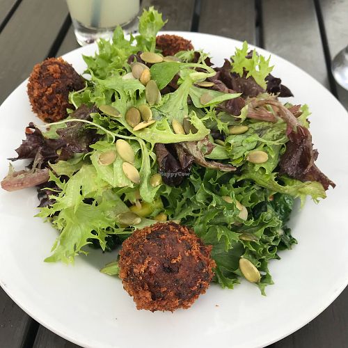 Buddha bowl at Tin Pan Alley in Provincetown