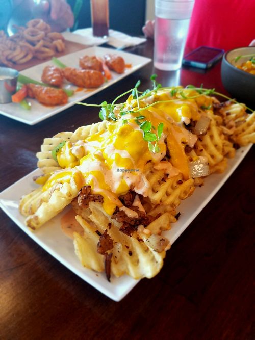 Philly cheese steak fries  at Morels Cafe in Louisville