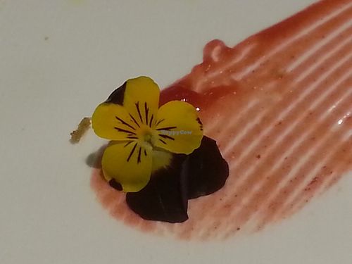 another dish with edible flower at Philanthropian Veganism Restaurant in Beijing