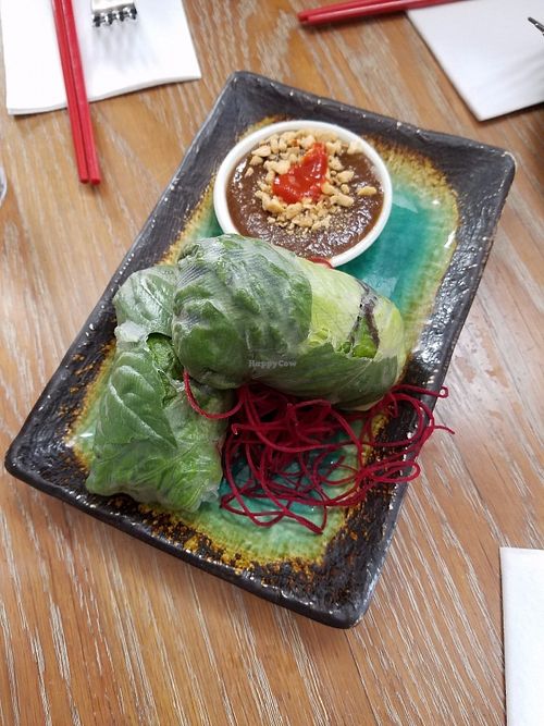 The veggie spring rolls with Thai peanut sauce at DC Noodles in Washington