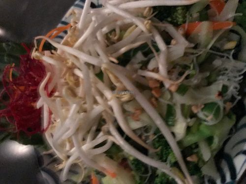 Noodle salad  at DC Noodles in Washington