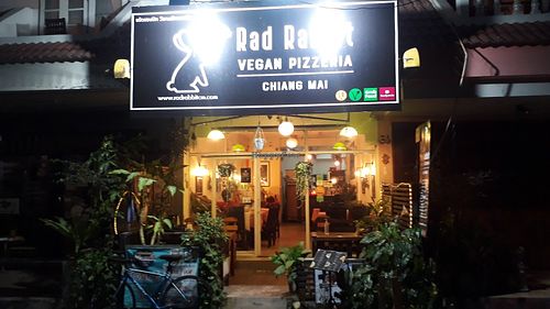 Outside at Rad Rabbit in Chiang Mai