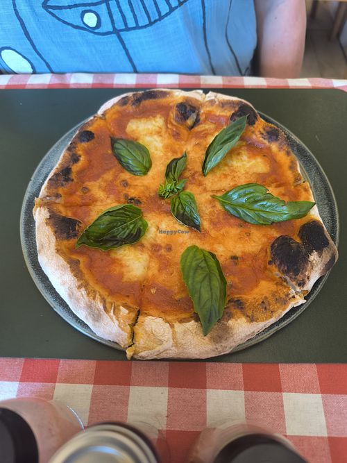 Small Margarita pizza at Rad Rabbit in Chiang Mai