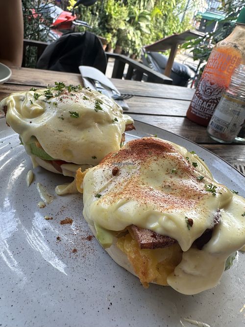   at Rad Rabbit in Chiang Mai