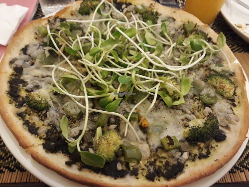 Green Wonder at Rad Rabbit in Chiang Mai