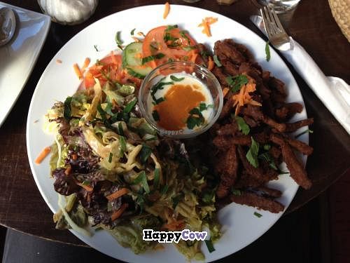 Soya-Gyro plate with salad at Cafe Habibi in Darmstadt