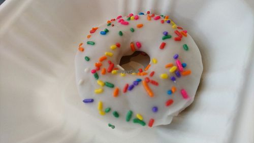 Favorite kid doughnut at Farmacy Vegan Kitchen & Bakery in Tampa