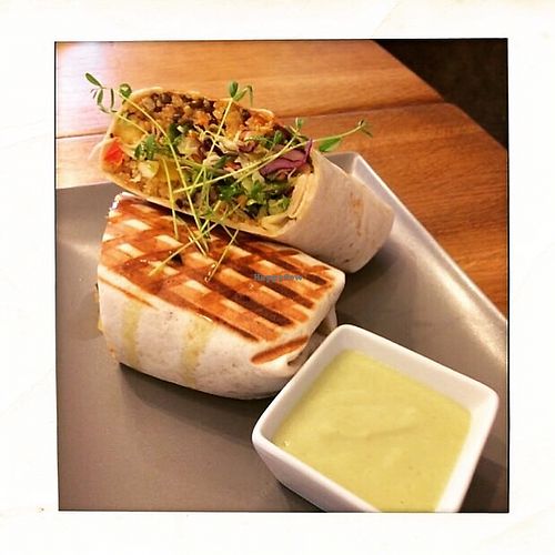 Asian inspiration wrap - buckwead, lentils, ginger, veggies served with our wasabi mayo at zralé bistro in Zlin