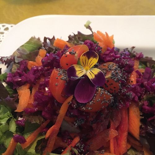 Side salad at Rotas da Ilha Verde in Sao Miguel