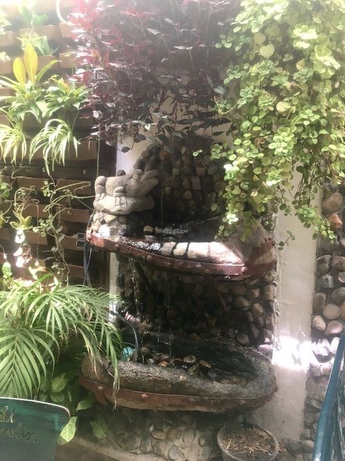 A waterfall in the rear garden kinda dining area.  There were many cool things, but too many patrons to shoot much. at El Jardin Buffet Nutricional Vegetariano in Guadalajara