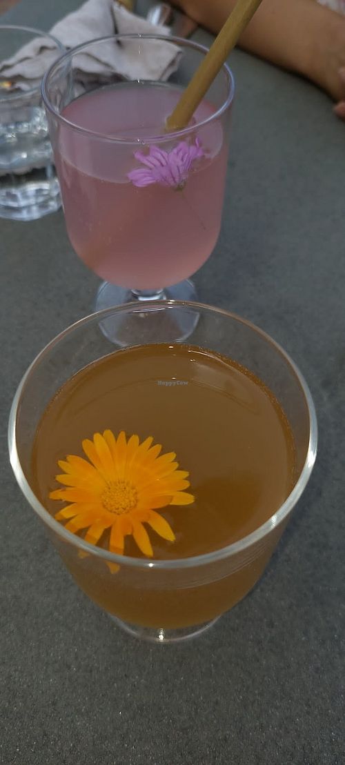  at Vegan Agrivilla I Pini in San Gimignano