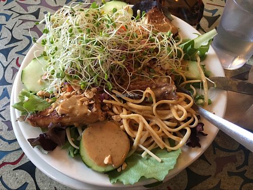 Evolution Noodles. Yum! at Cafe Evolution in Florence