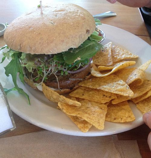 Veggie Burger at Cafe Evolution in Florence