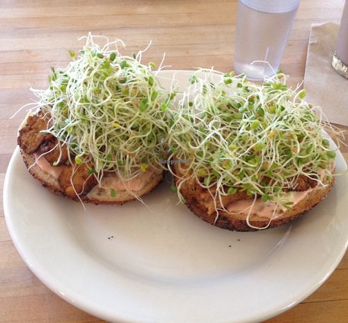 Saint Reuben at Cafe Evolution in Florence