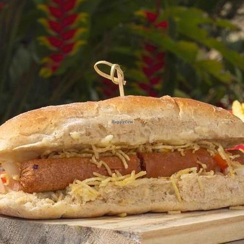 dog at Villa Vegana in Sao Paulo