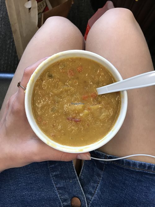 Soup of the day- coconut lentil dhal with butternut squash (vegan) at SFO - San Francisco Soup Company - T3 in South San Francisco