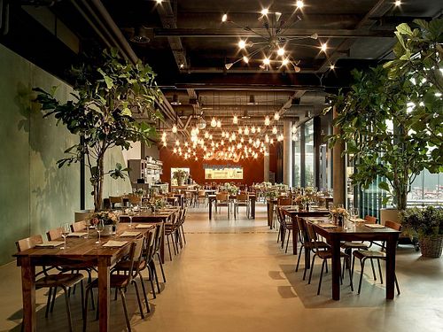 Daizy Restaurant at Daizy in Zurich