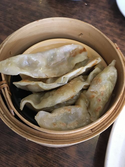 Guotie dumplings at Zenhouse Vegetarian Yum Cha  in Adelaide