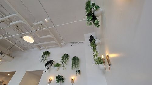 Plants at Local Juicery in Flagstaff