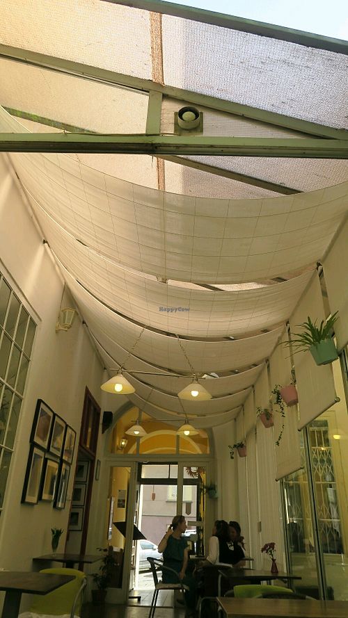 inside at Natureza in Prague