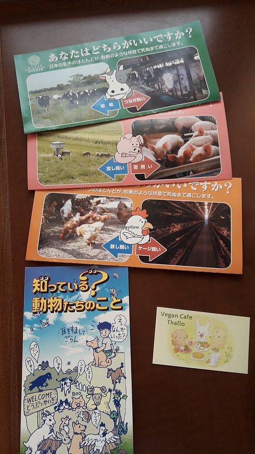 Brochures at Thallo in Kobe